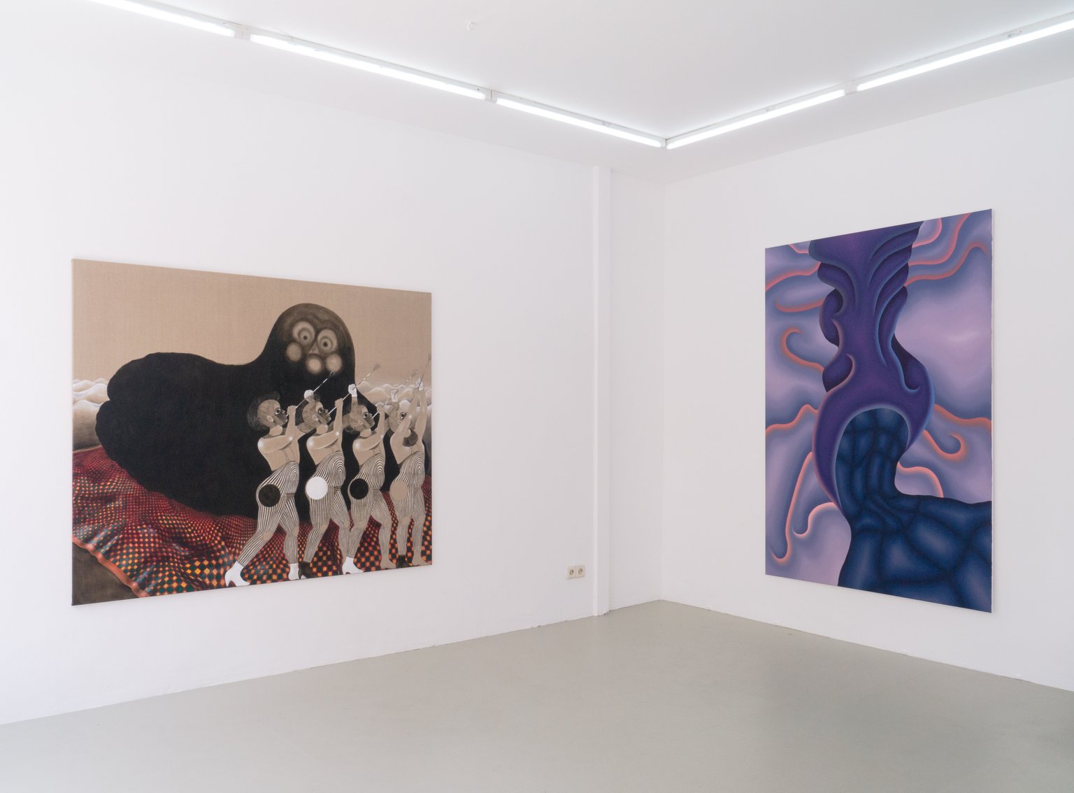 installation view, Who made my cat two-dimensional?