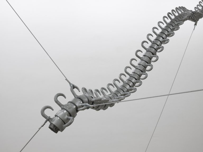 installation view, Appendage