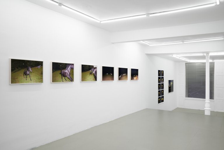 installation view, mixed up by motion