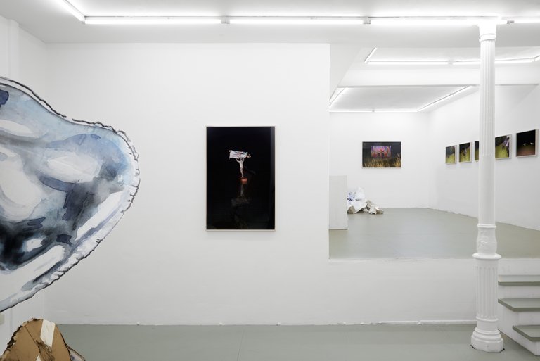 installation view, mixed up by motion
