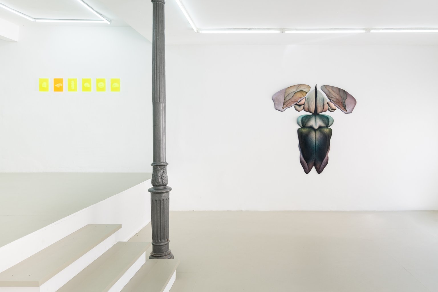 Installation View, Serpentinite
