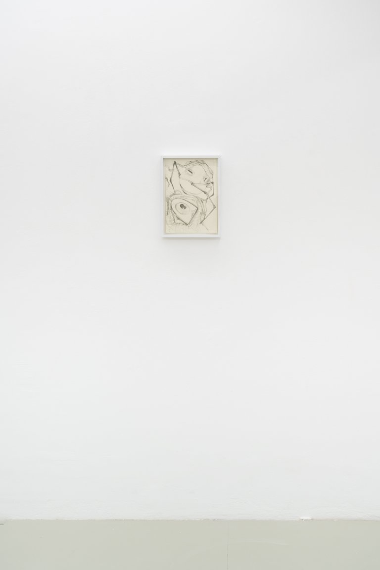 installation view, Magdalena Frauenberg, o.T., 2024, Shellbreak