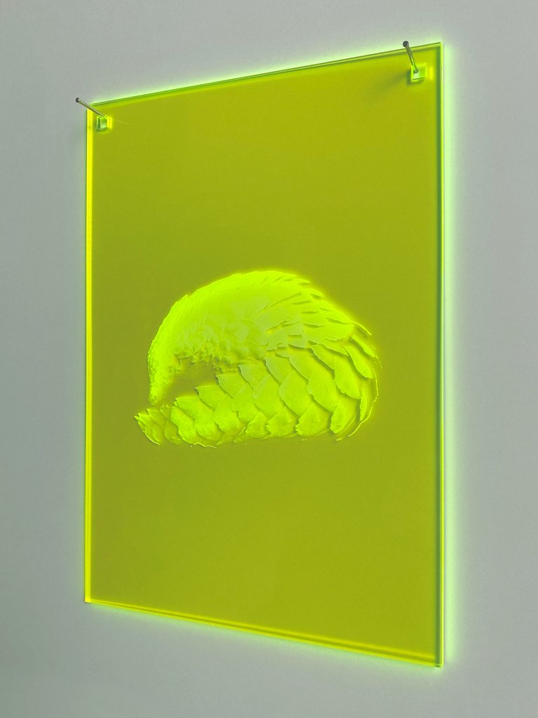 Mnemonic 106 by Susi Gelb, 2022, laser engraving in fluorescent plexiglas