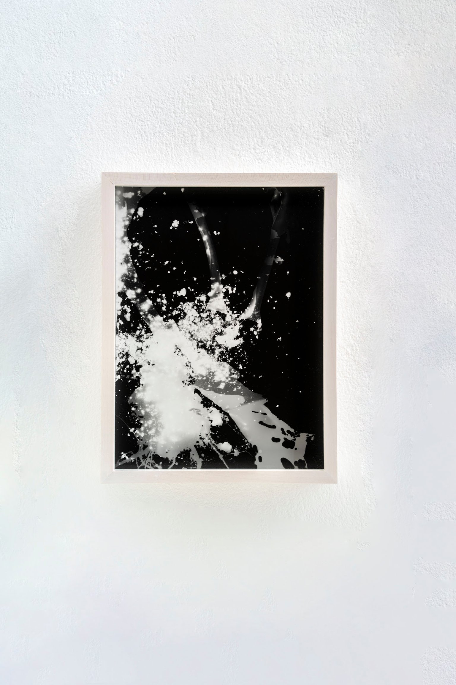 Blauer Spitzkohl (Fotogramm) #8 by Johanna Wagner, 2024, hand print