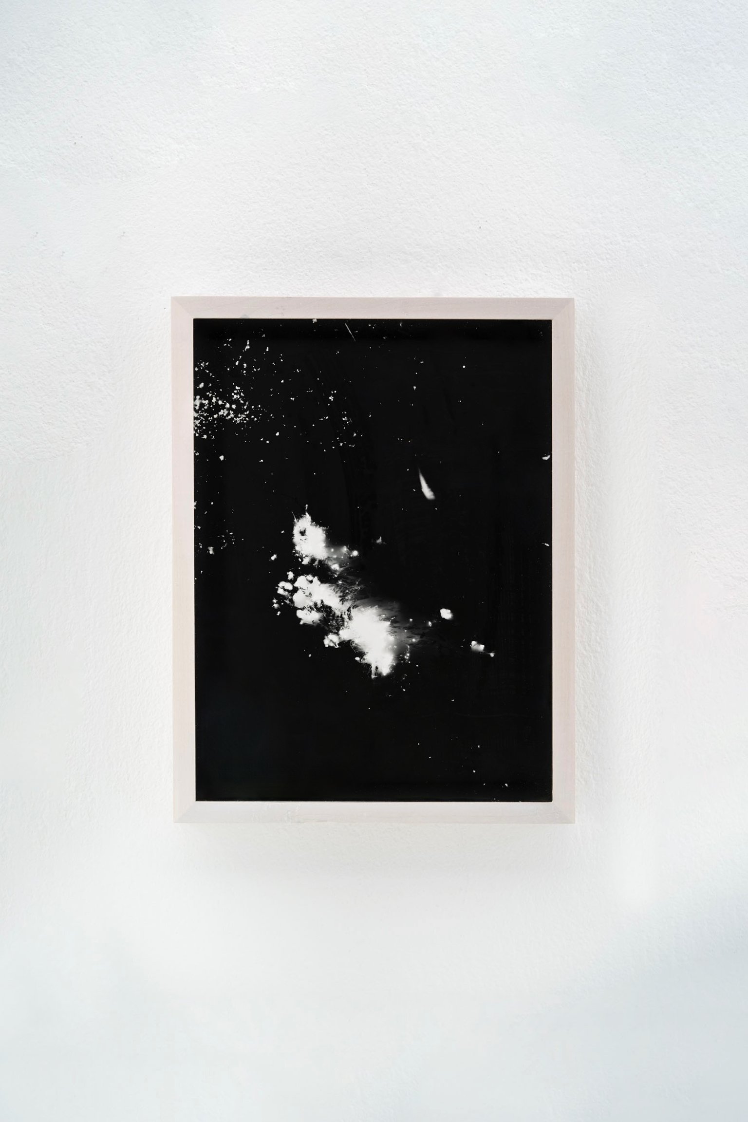 Blauer Spitzkohl (Fotogramm) #10 by Johanna Wagner, 2024, hand print