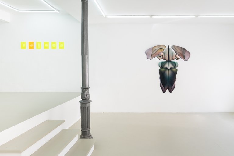 Installation View, Serpentinite