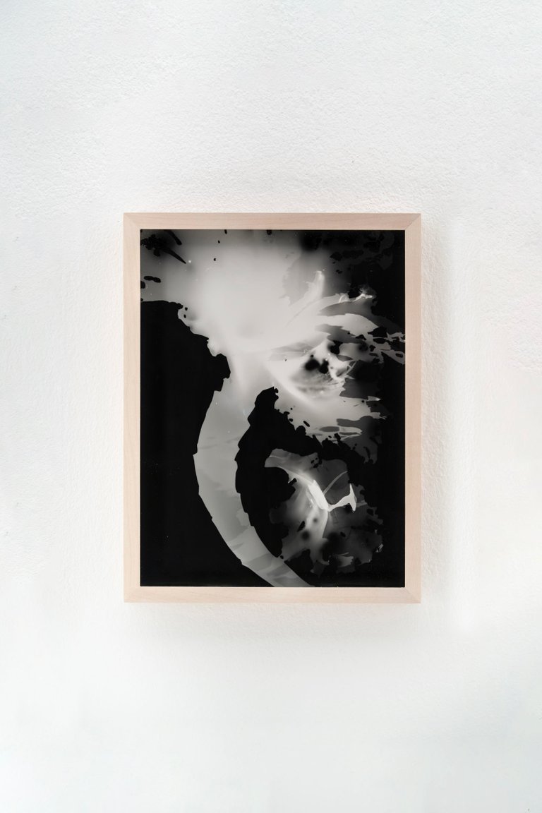 Blauer Spitzkohl (Fotogramm) #5 by Johanna Wagner, 2024, hand print