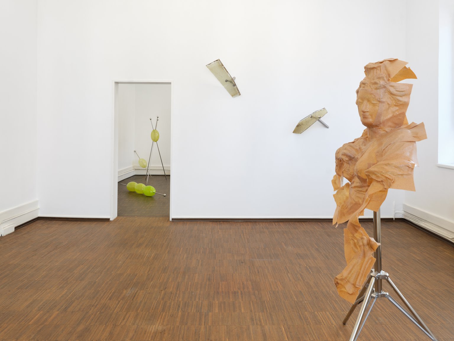 installation view, Profusion Antagonist Wishlist