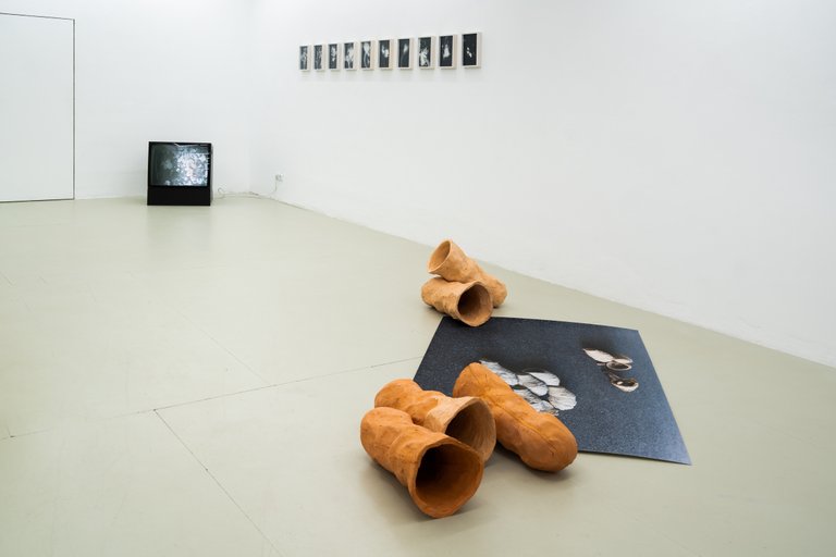Installation View, Blaukraut und Tiere