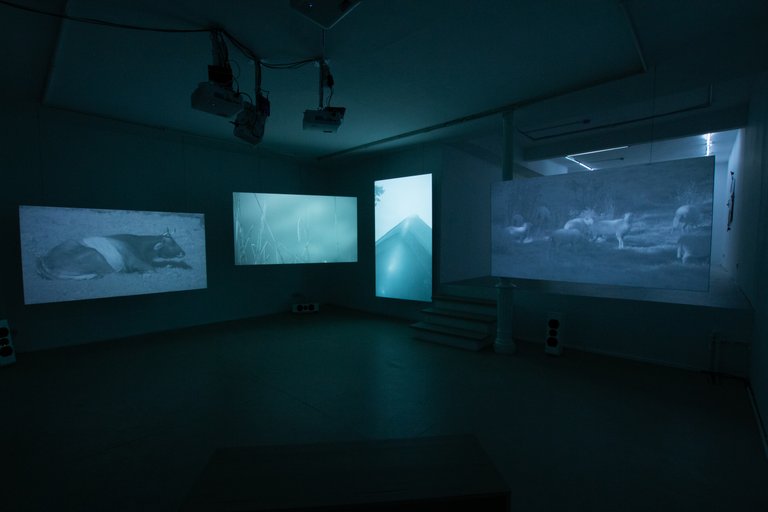 Installation View, Embryonic Elements of Fredom