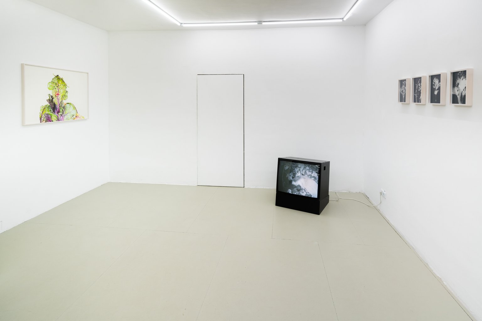 Installation View, Blaukraut und Tiere
