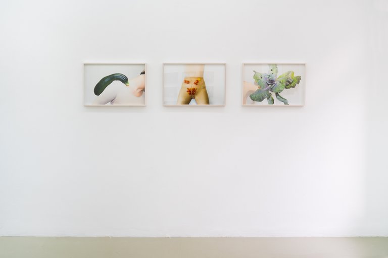 Installation View, Blaukraut und Tiere