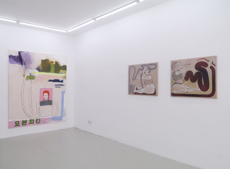 installation view, Who made my cat two-dimensional?