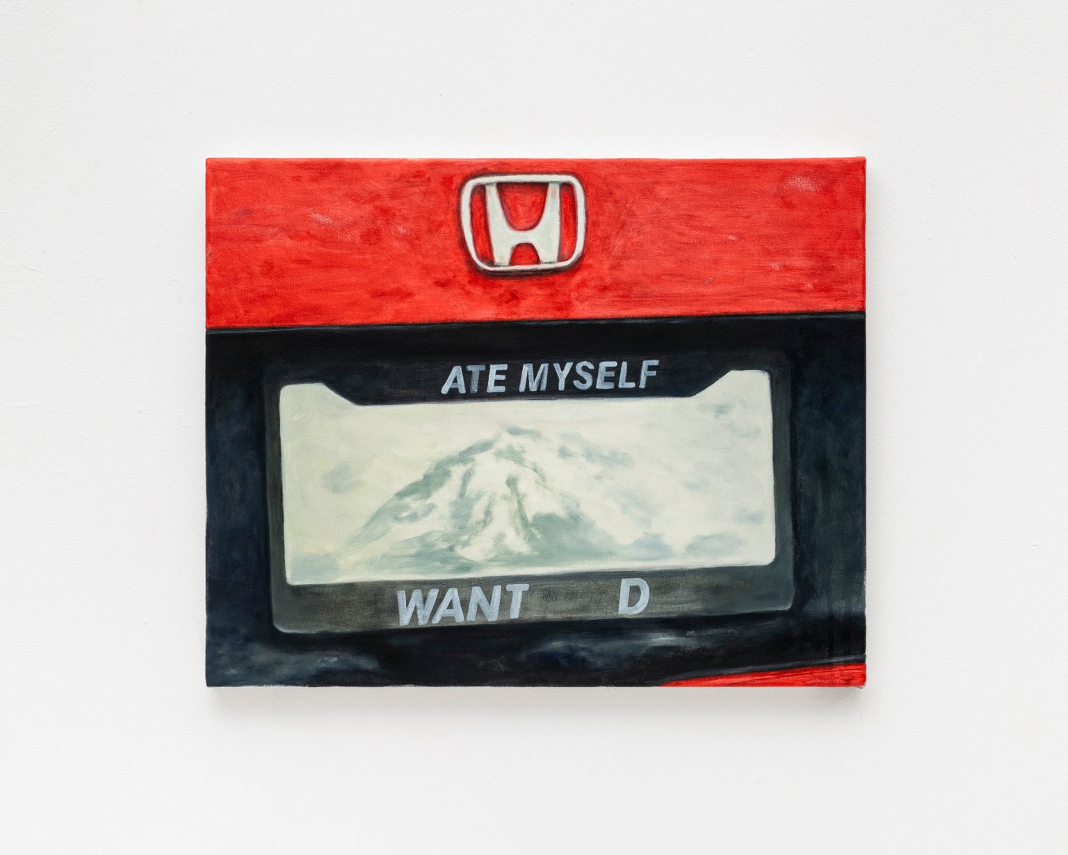 I hate myself - I want to die (license plate)