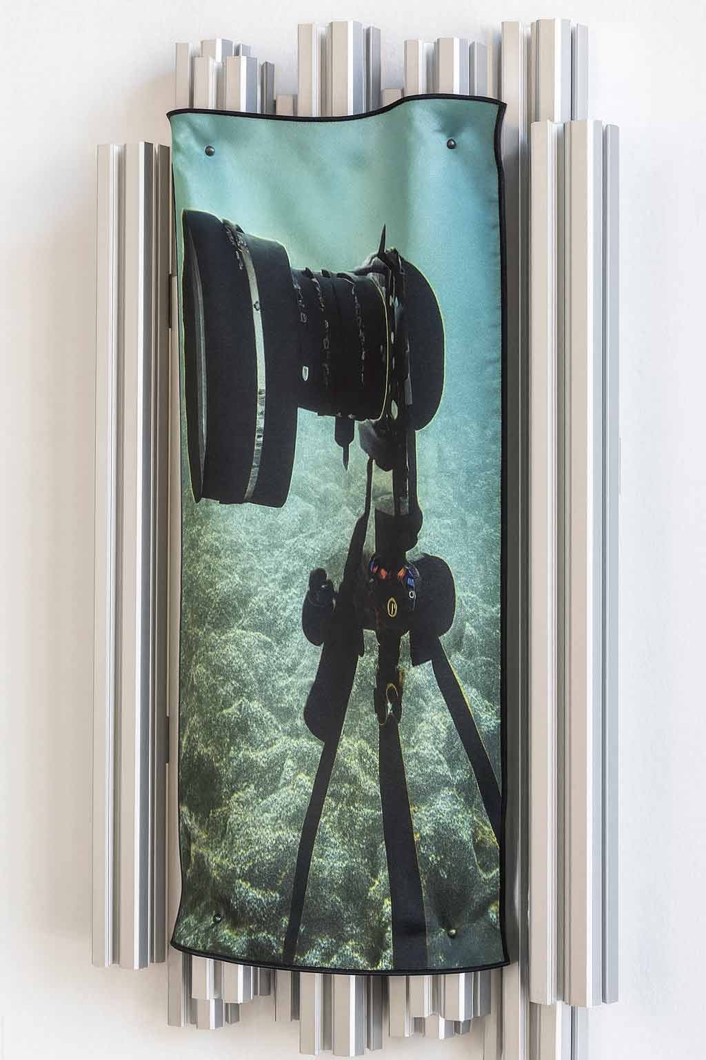 Canus Weight by Tatjana Vall, 2025, reactive print on silk, aluminum artist frame