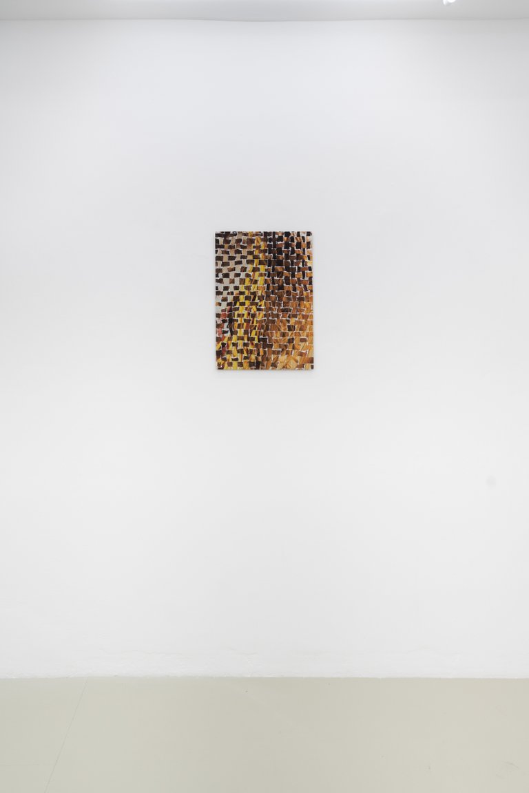 Anna Stüdeli, Feast II, 2024, installation view, Aperture