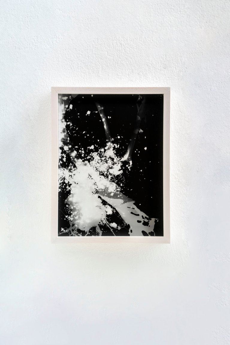 Blauer Spitzkohl (Fotogramm) #8 by Johanna Wagner, 2024, hand print