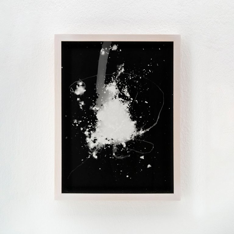 Blauer Spitzkohl (Fotogramm) #9 by Johanna Wagner, 2024, hand print