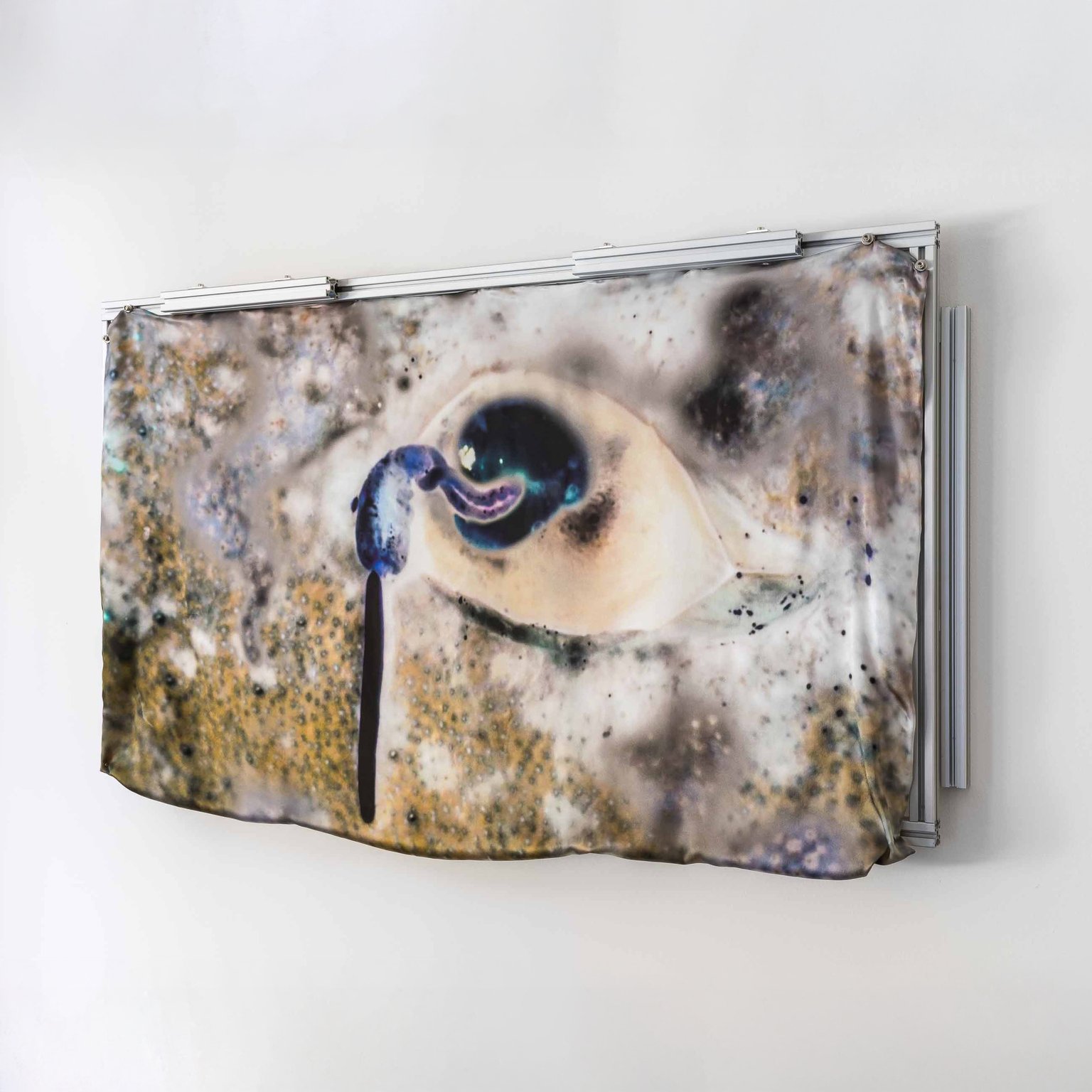 Cloudy Vision by Tatjana Vall, 2024, reactive print on silk, aluminum artist frame