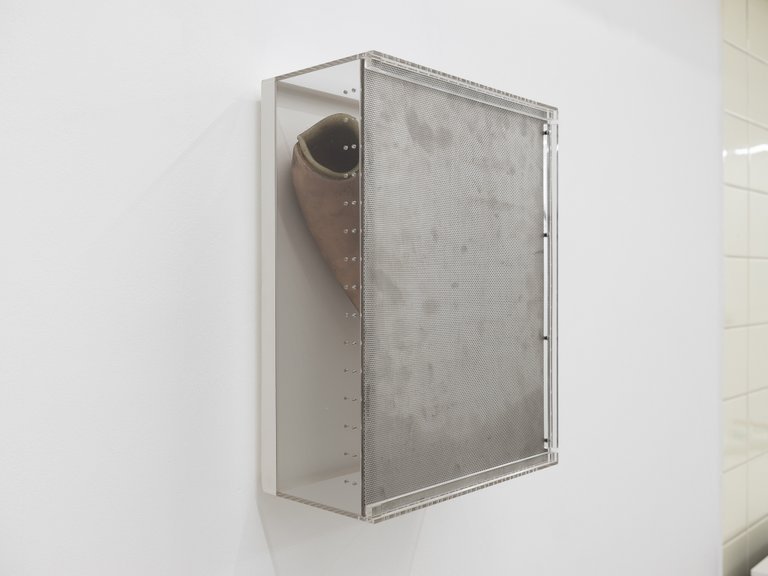 Beauty Box by Emil Walde, 2021, PERFORATED SHEET METAL, PLEXIGLASS, PROSTHESIS, WOOD, LACQUER