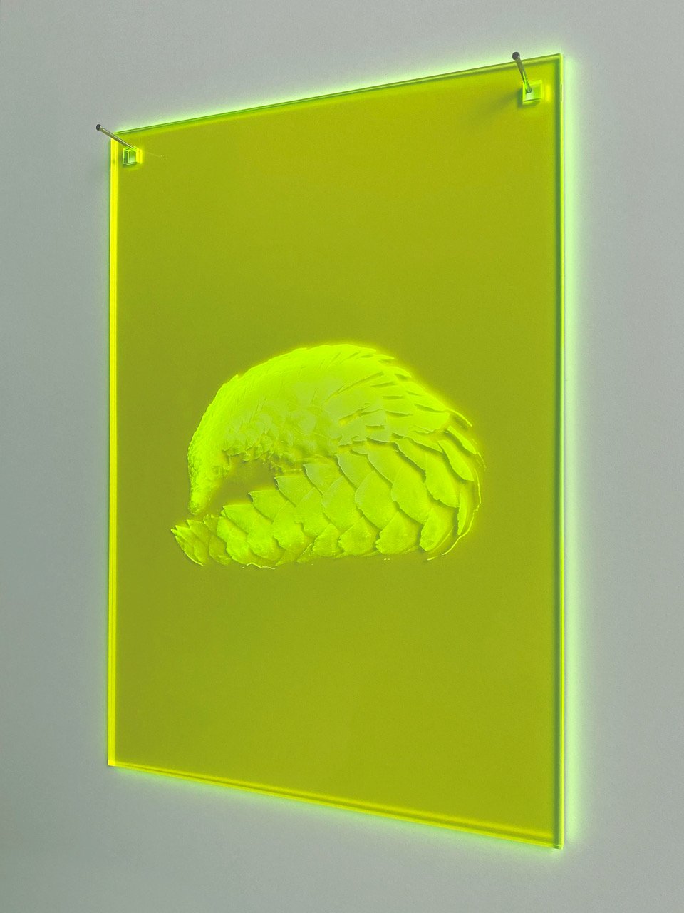 Mnemonic 106 by Susi Gelb, 2022, laser engraving in fluorescent plexiglas