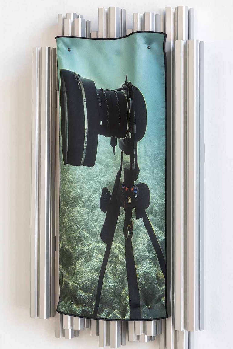 Canus Weight by Tatjana Vall, 2025, reactive print on silk, aluminum artist frame