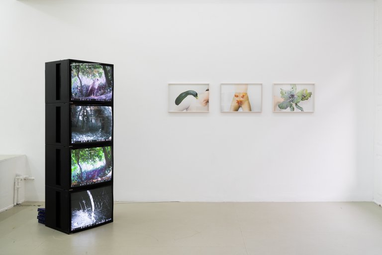 Installation View, Blaukraut und Tiere