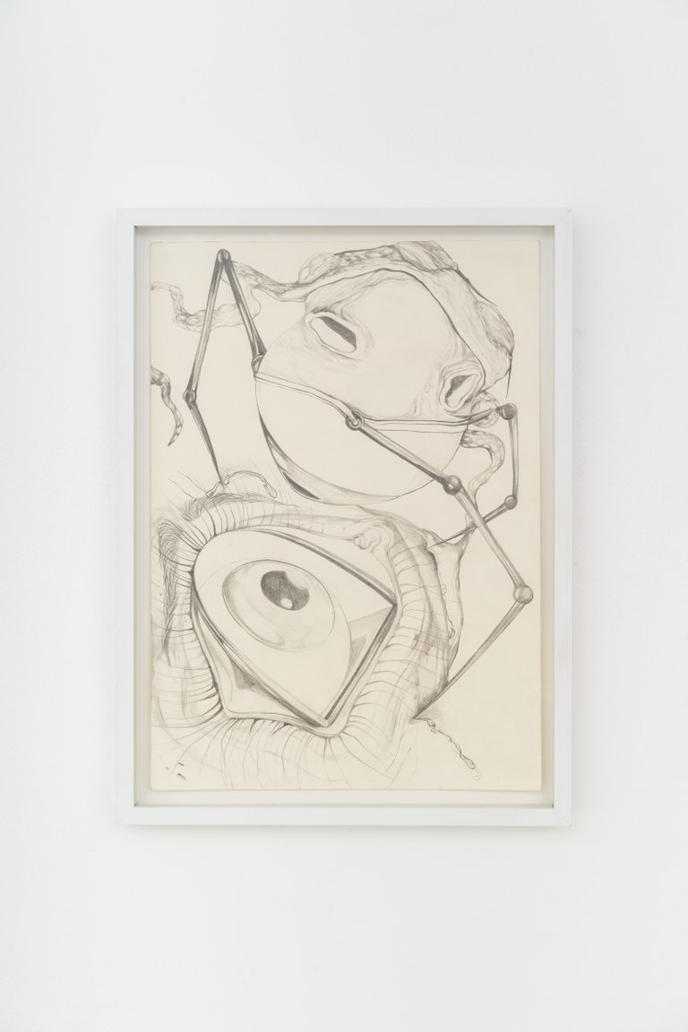 o.T. by Magdalena Frauenberg, 2024, pencil on paper