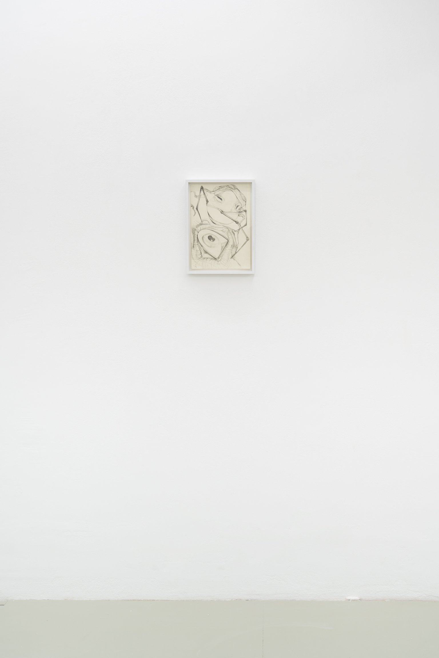 installation view, Magdalena Frauenberg, o.T., 2024, Shellbreak