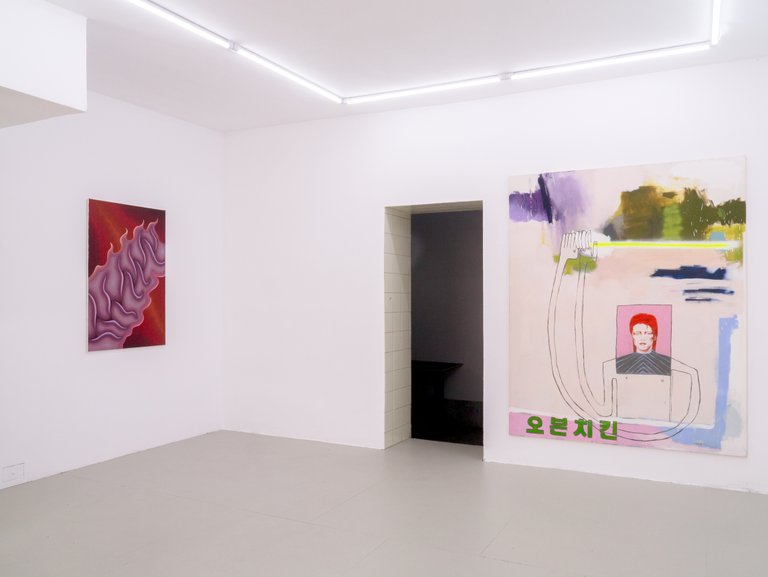 installation view, Who made my cat two-dimensional?