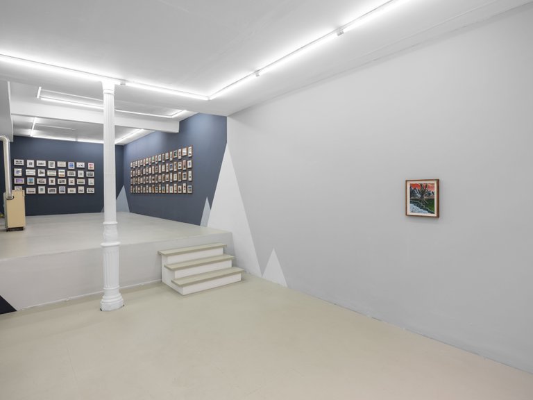 installation view, Insomnia
