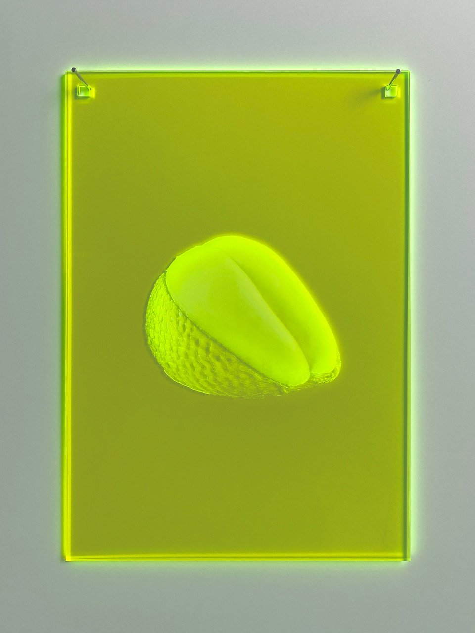 Mnemonic 105 by Susi Gelb, 2022, laser engraving on fluorescent plexiglas