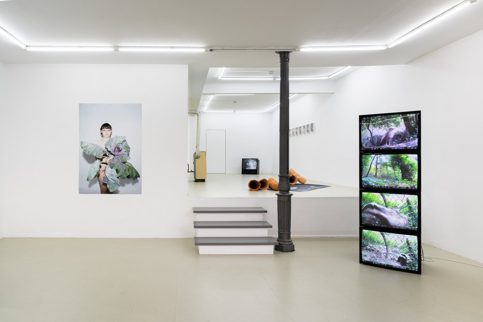 Installation View, Blaukraut und Tiere