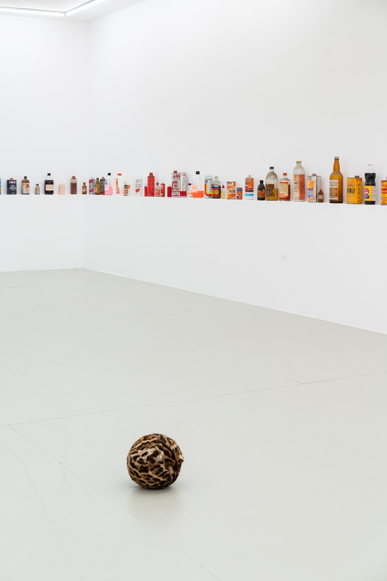 Installation View, Ich sehe was, was Du nicht siehst