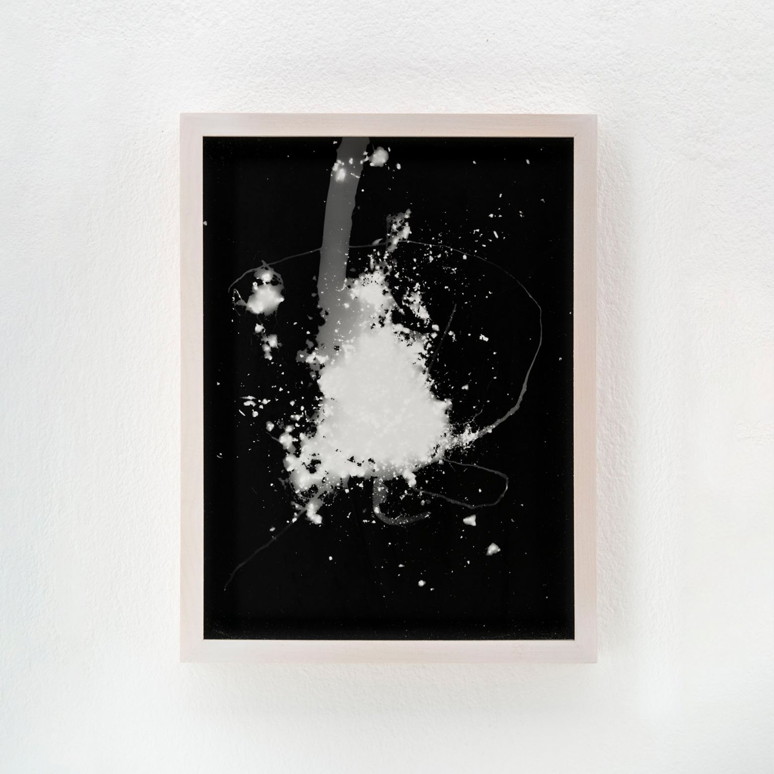 Blauer Spitzkohl (Fotogramm) #9 by Johanna Wagner, 2024, hand print