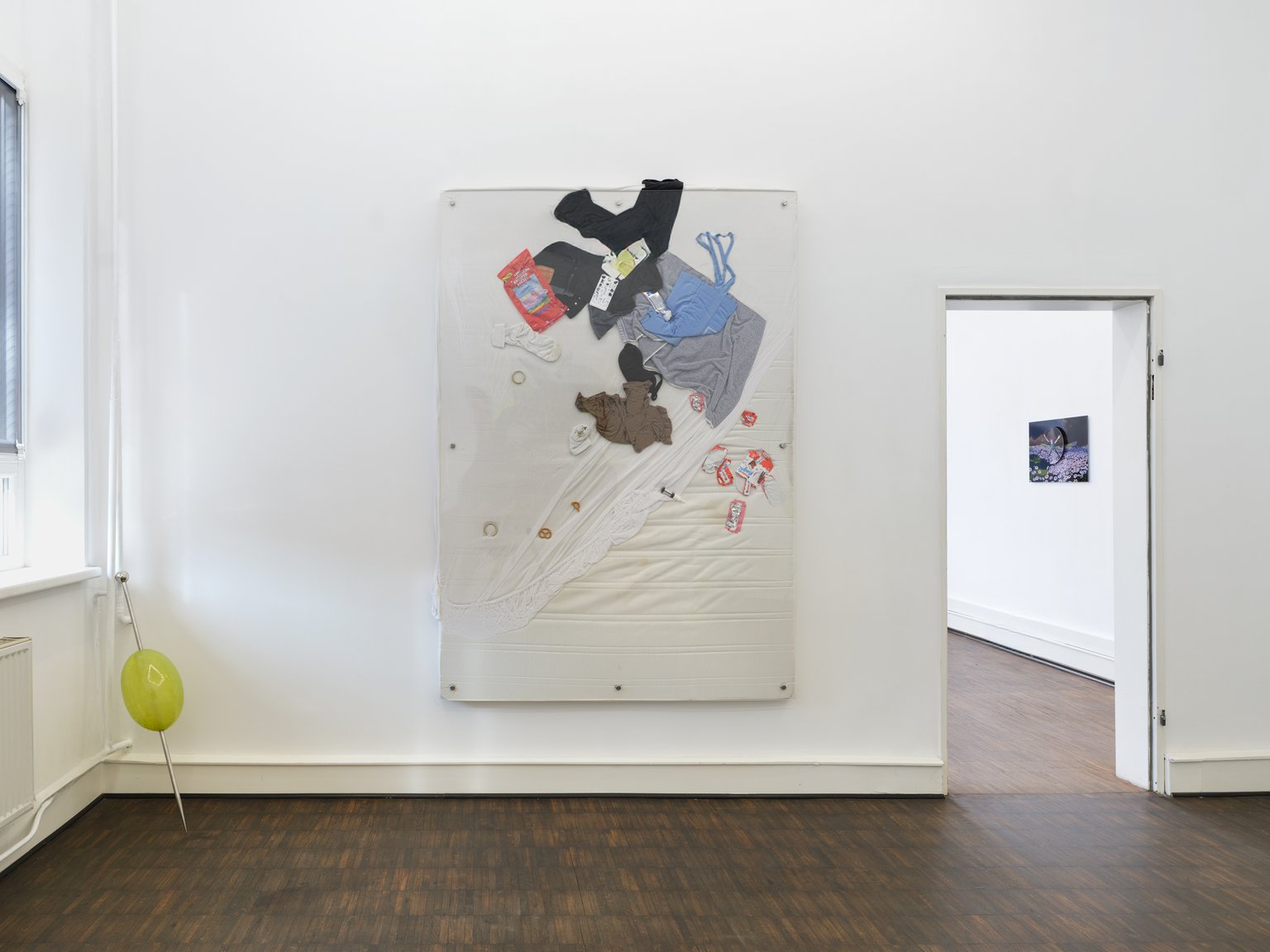 installation view, Profusion Antagonist Wishlist
