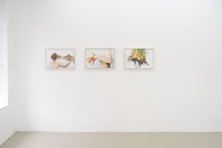 Installation View, Vol. 1