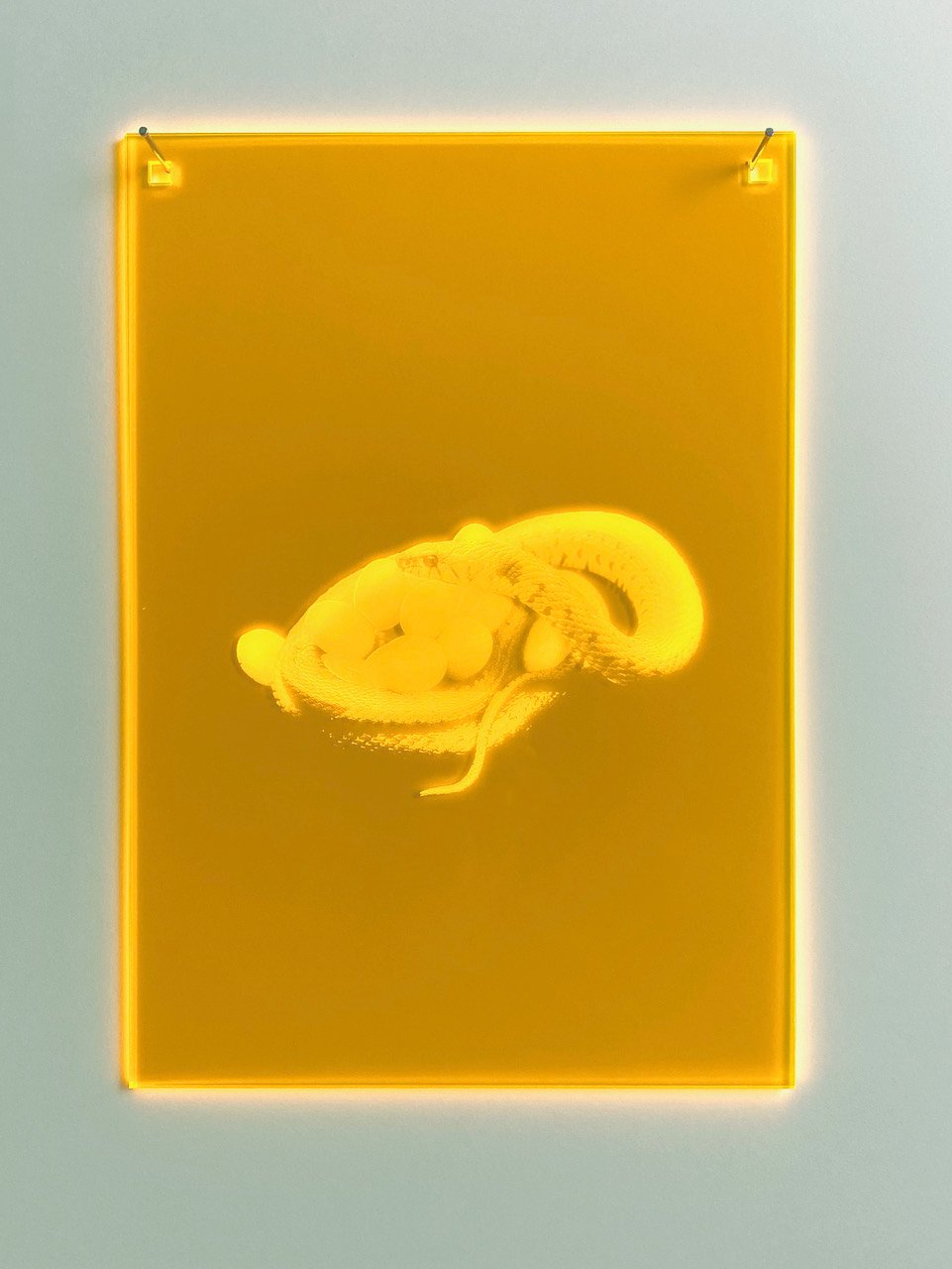Mnemonic 096 by Susi Gelb, 2022, laser engraving in fluorescent plexiglas