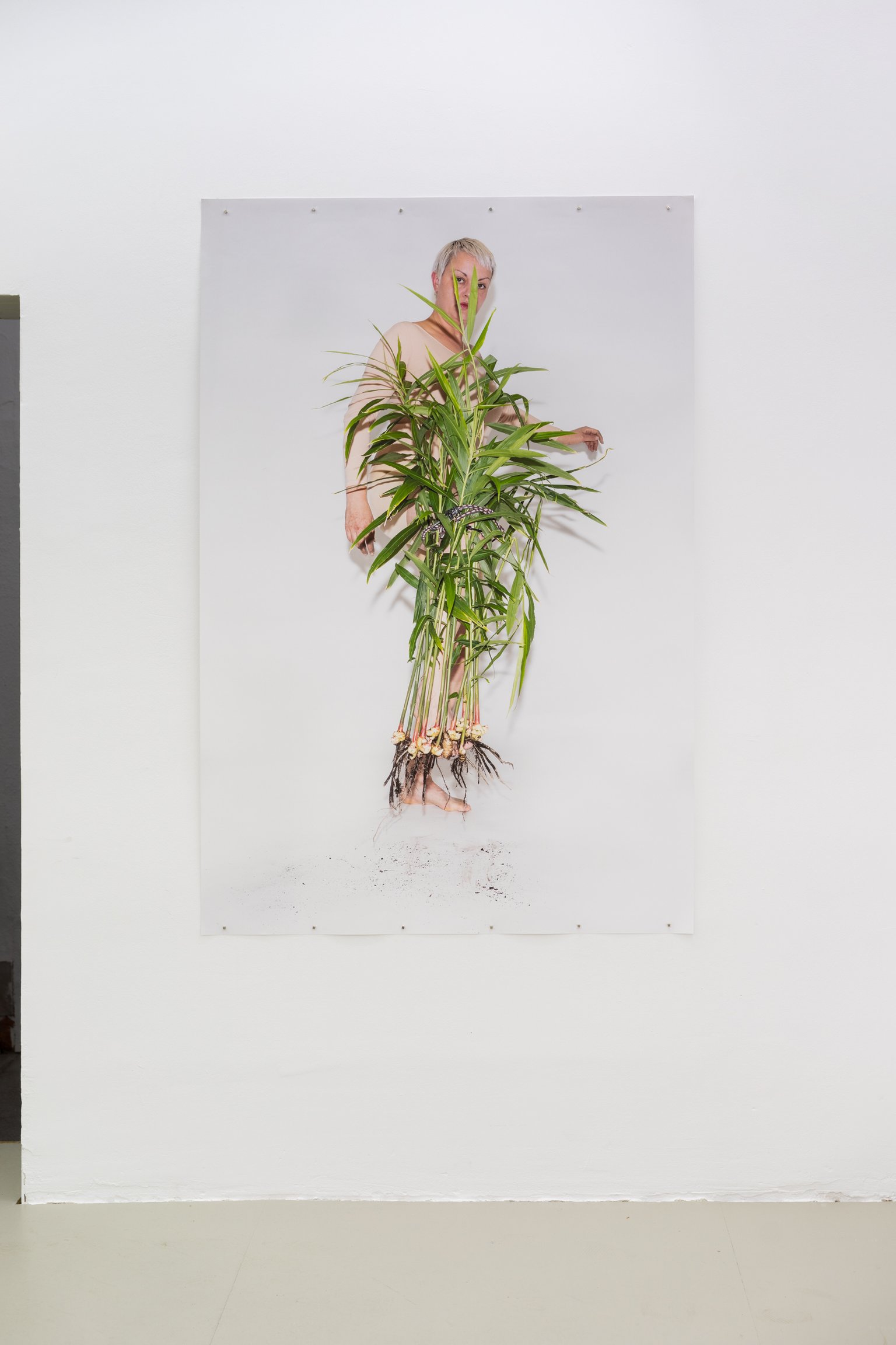 Installation View, Vol. 1