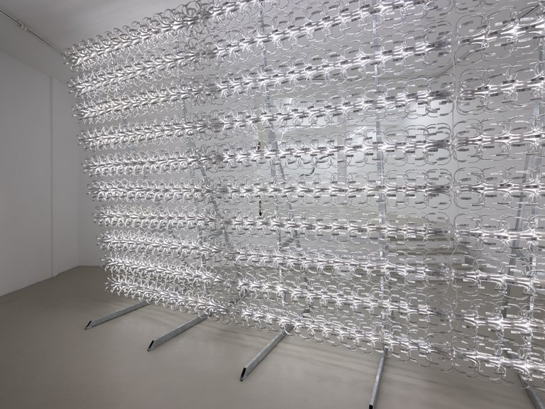 installation view, Appendage