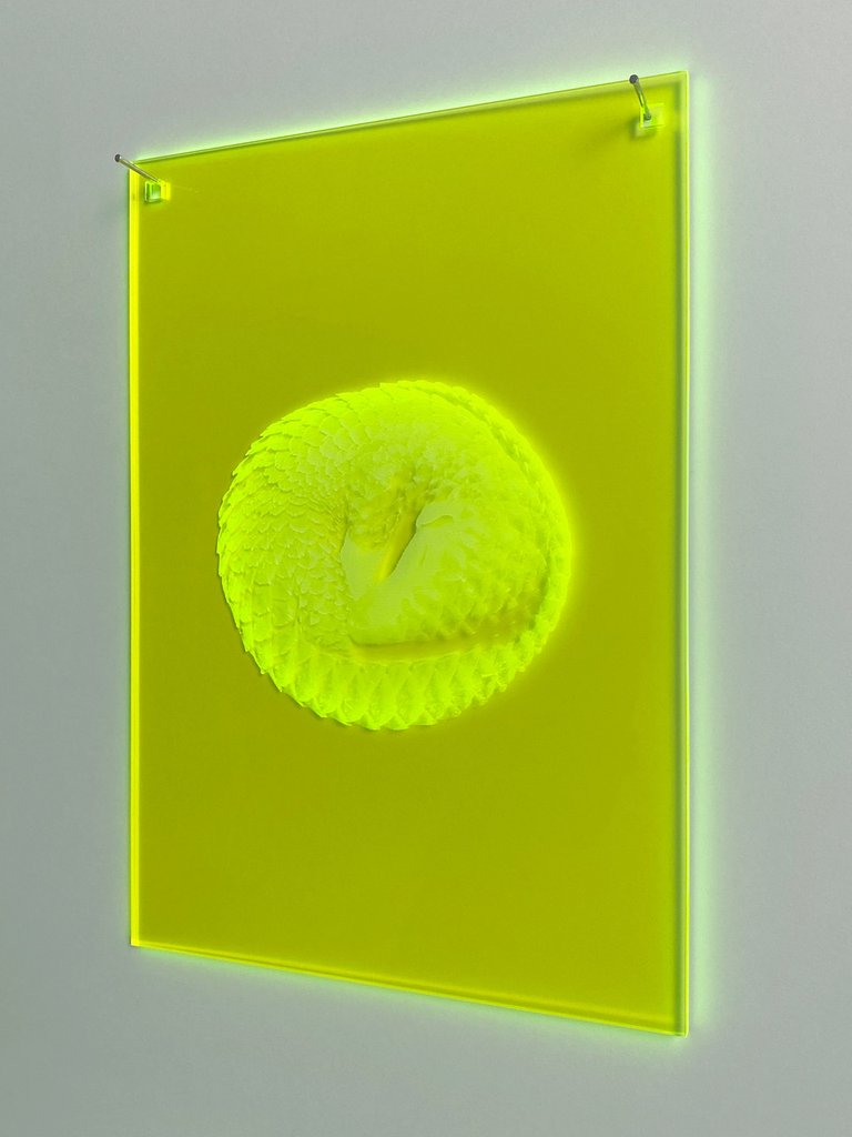 Mnemonic 101 by Susi Gelb, 2022, laser engraving in fluorescent plexiglas