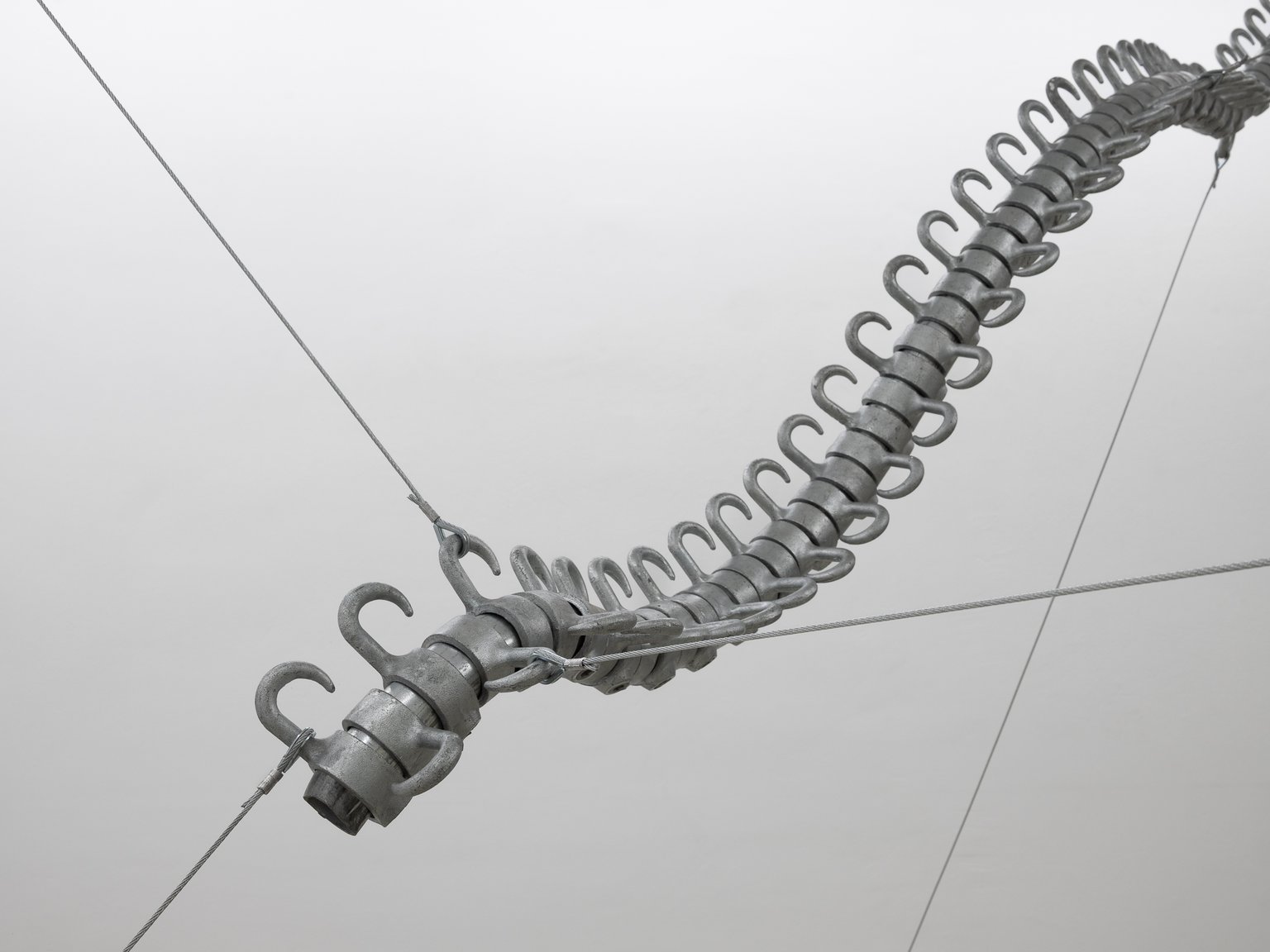 installation view, Appendage