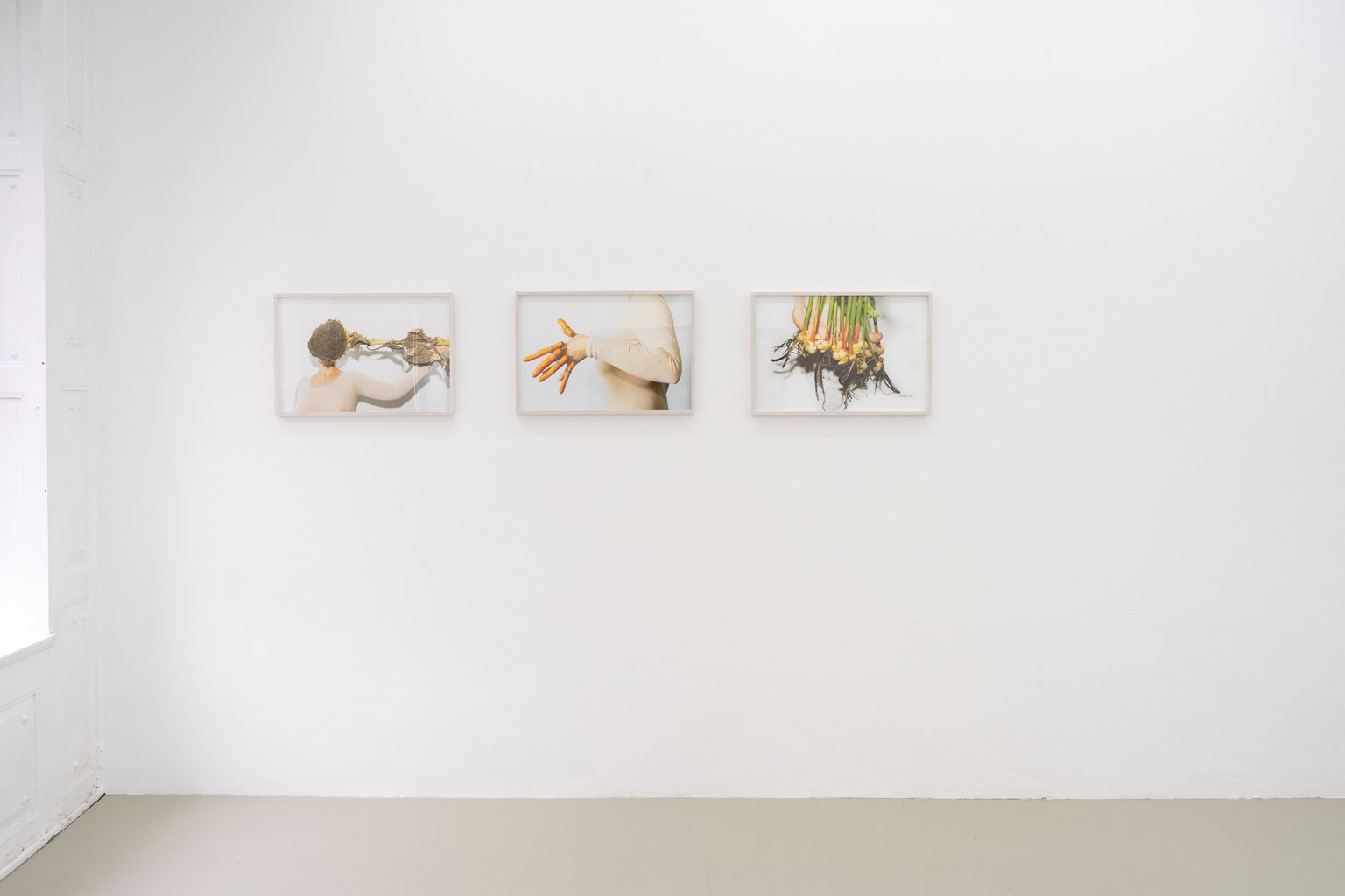 Installation View, Vol. 1