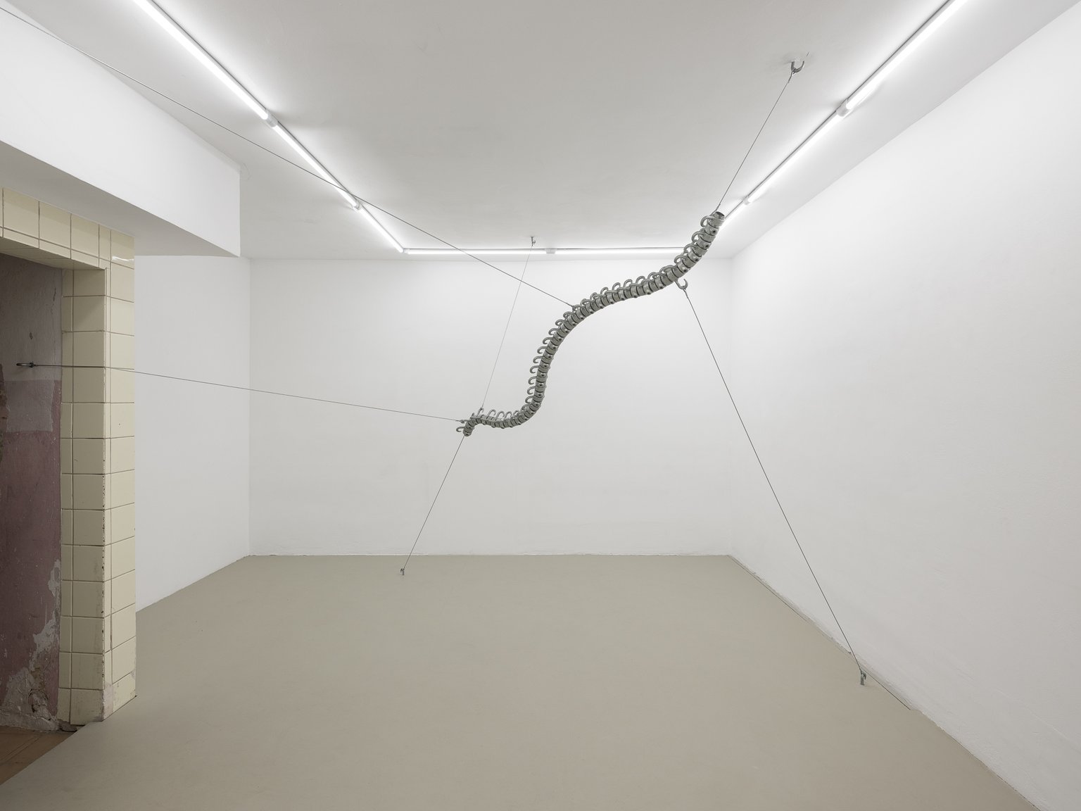 installation view, Appendage