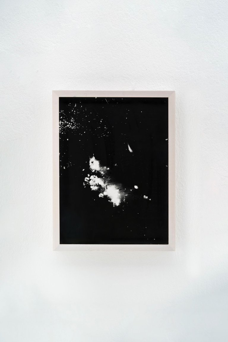 Blauer Spitzkohl (Fotogramm) #10 by Johanna Wagner, 2024, hand print