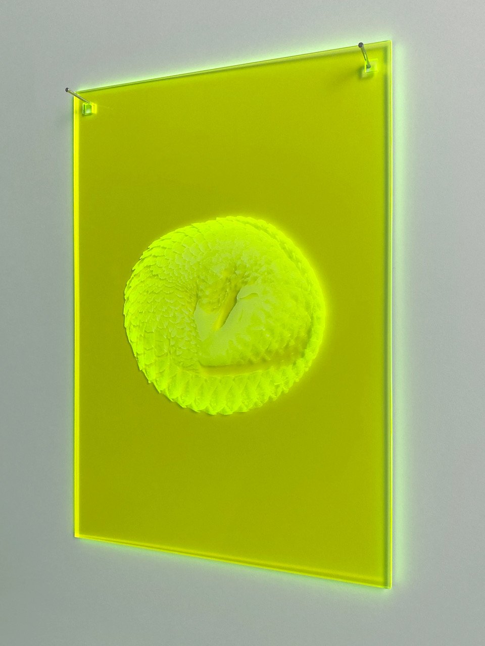 Mnemonic 101 by Susi Gelb, 2022, laser engraving in fluorescent plexiglas