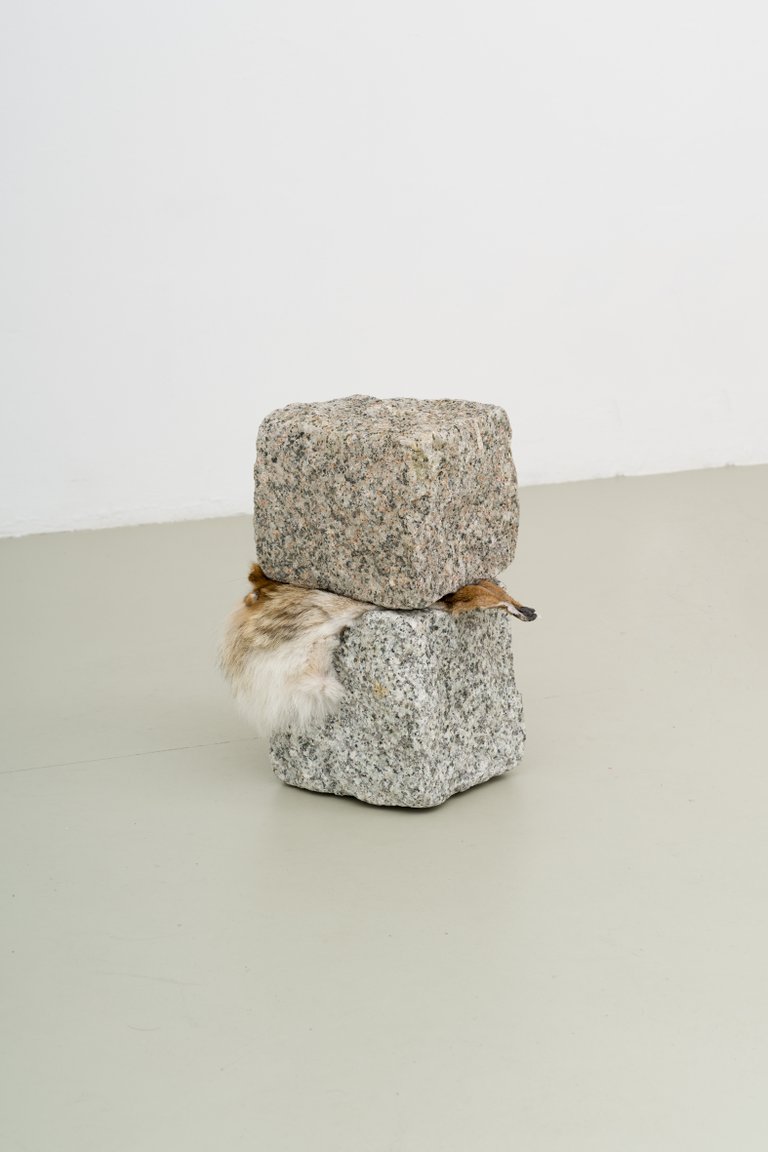 Koyotenquetsche, 2024, cobblestone, coyote skin