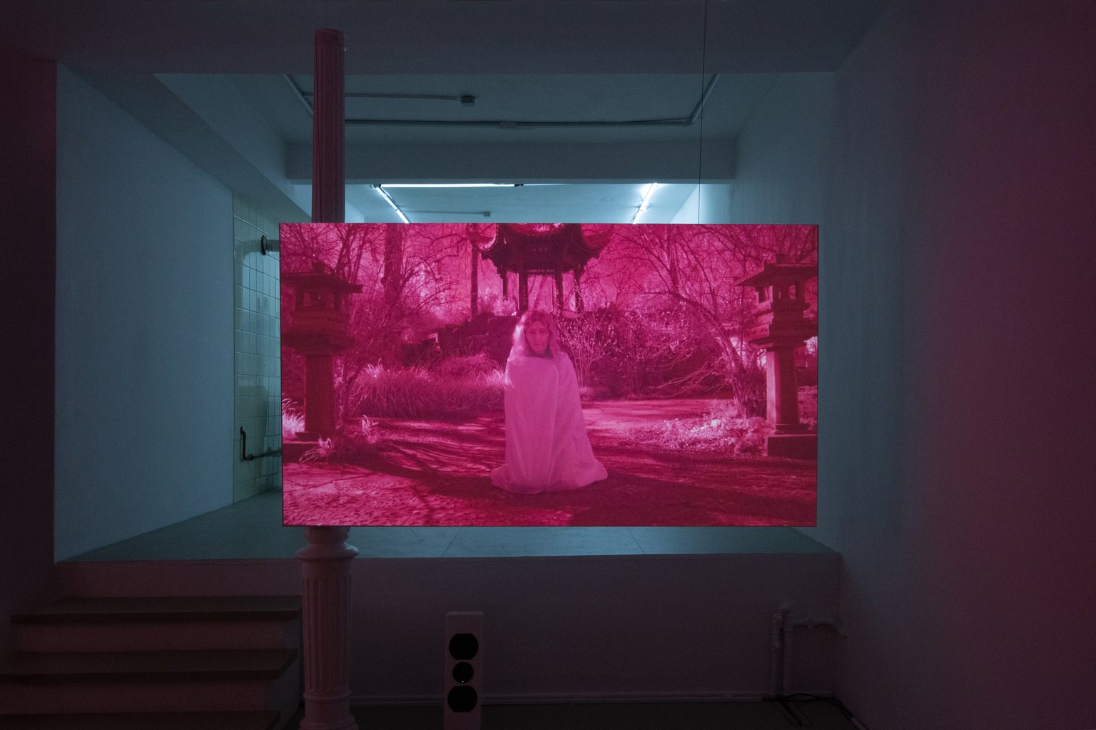 Installation View, Embryonic Elements of Fredom