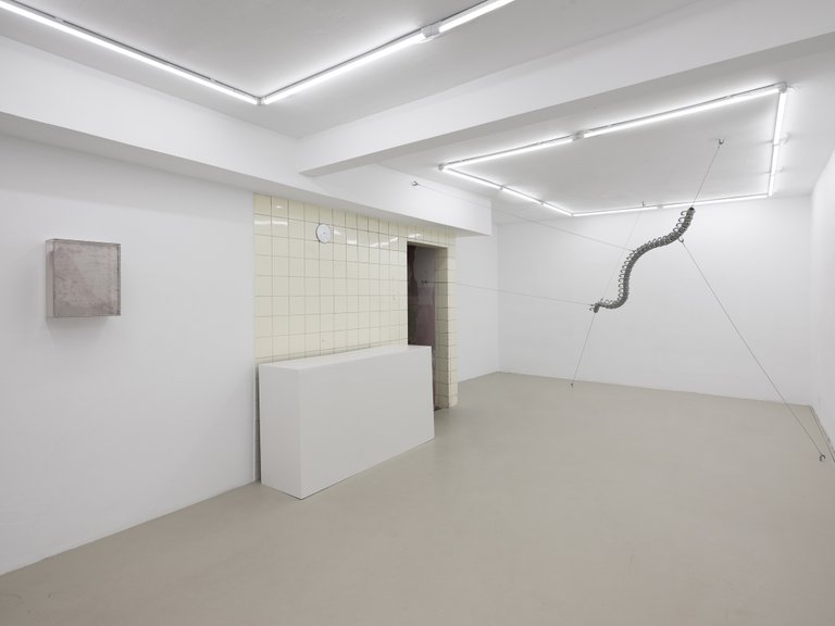 installation view, Appendage