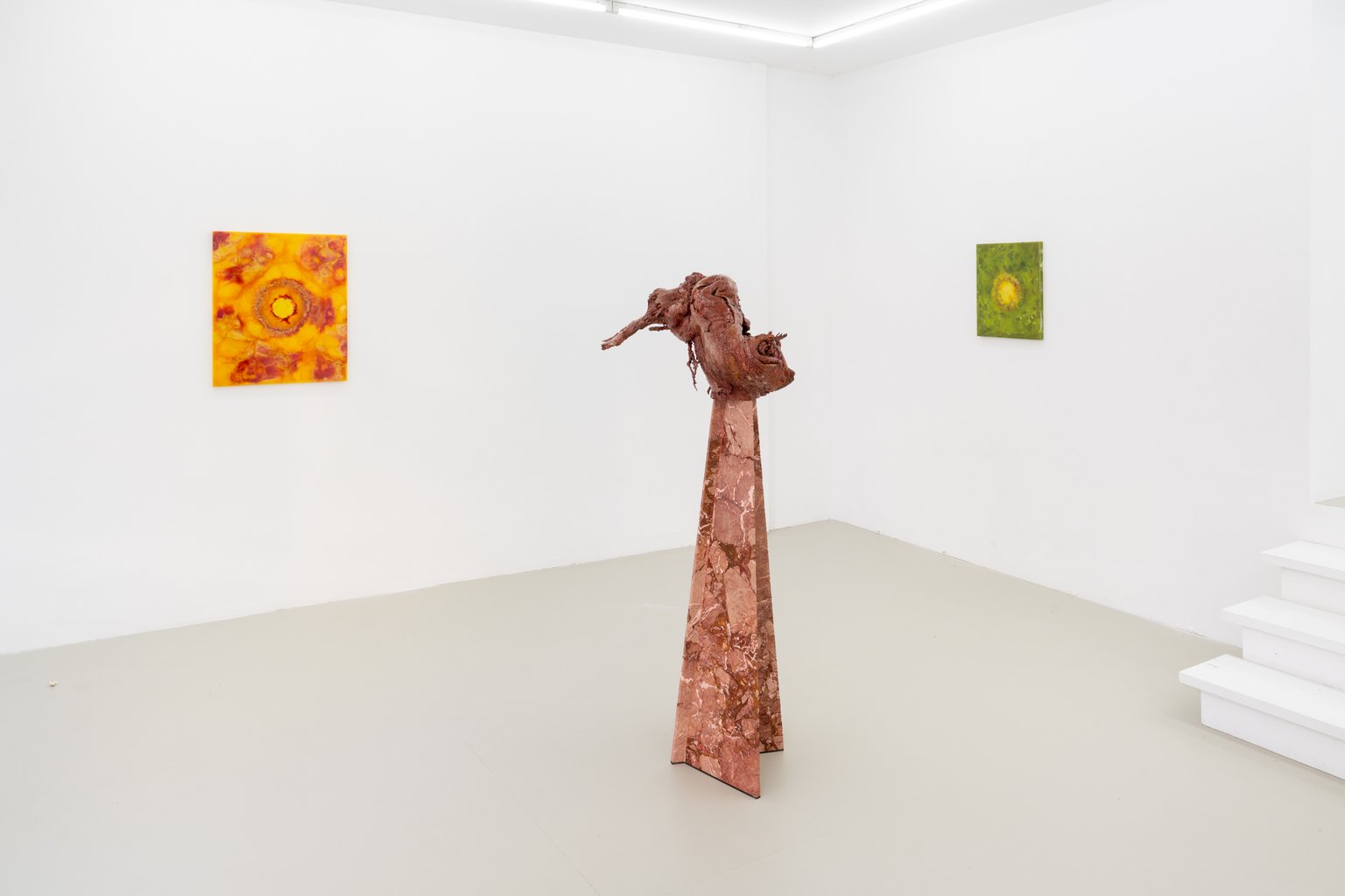 installation view